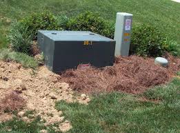 Последние твиты от green power box (@greenpowerbox1). What Not To Plant In Your Yard Debbie Arriero And Arriero Realty Inc S Blog