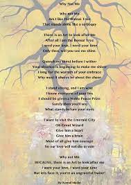 Komal Madar On Twitter My Poem Why Not Me Poetry Love Pain Relationships Man Woman Artisttowatch Share Bonsai Tree Creative Poet Http T Co Luzhkkecd0 Twitter