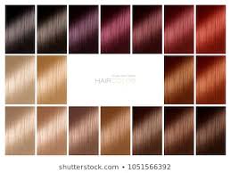 Chart Hair Color Images Stock Photos Vectors Shutterstock