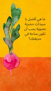 ما هي أفضل 5 مبيدات حشرية عضوية يجب أن تكون متاحة في حديقتك insecticide for plants organic formula neem oil