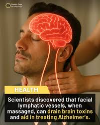 Half the best memories are made from sneaking into places you weren't  supposed to be. There's something magical about the thrill of exploration  and the feeling of being a little rebellious. It's