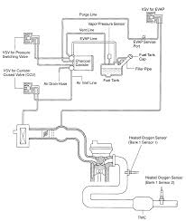 Diagram Wiring Diagram 2001 Celica Full Version Hd Quality 2001 Celica Mediagrame Bellobuonoevicino It