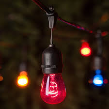 Is there a black / 50 ft product available in globe string lights? Commercial String Lights Yard Envy
