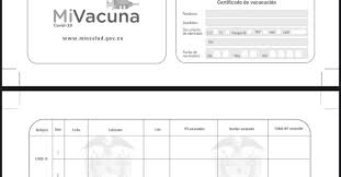 No espere hasta poder aplicarse una marca específica. Asi Es El Carne De Vacunacion Que Usaran Los Colombianos Para El Covid 19 Infobae