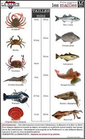 Tailles Mini Pour La Peche Guide De Peche En Rance Dinard Dinan Saint Malo Bretagne Peche Guide De Peche Tourteau