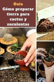 Hoy les traigo un nuevo vídeo en el cual les voy a mostrar como hacer un sustrato para cactus y suculentas totalmente gratis aprovechando los suscribete al canal para ver mas contenido como este :d. Te Damos La Receta De Como Preparar Tu Propia Tierra Para Cactus Y Suculentas Ingredientes Faciles De Con Cactus Y Suculentas Suculentas Cultivo De Suculentas