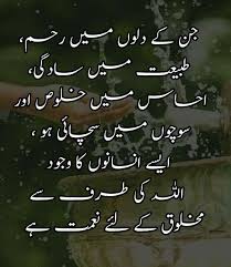 Pin By Soomal Mari On Urdu Urdu Words Quotes From Novels Morning Greetings Quotes