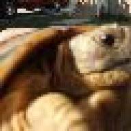 Desert tortoises will develop a preference for certain plants, to which their digestive systems become accustomed. Food For Desert Dwelling Type Of Tortoises Desert Tortoises Marginated Greeks Russians Sulcata Tortoise Forum