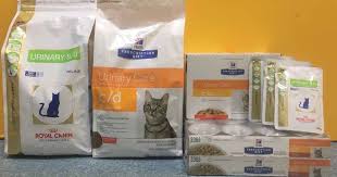 The rep told her that cats that are prone to urinary blockages shouldn't be on a high protein diet and it should be strictly watched. Help My Cat Keeps Trying To Pee Walkerville Vet