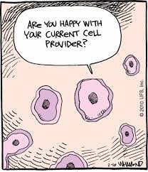 Leave it in the comments! Pin By Carolina Biological Supply Com On Science Jokes Science Puns Biology Humor Science Jokes