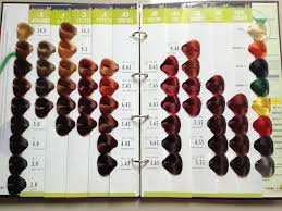 54 colors vb salon hair color chart