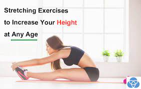 Fitness, yoga and wellness products for the whole family. 10 Stretching Exercises To Increase Your Height At Any Age Vestellite