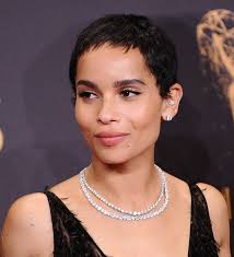 Taglio capelli cortissimi donna, scopri tutti i tagli e se ti puo' stare bene con il metodo les garcons | lunezia cosmetics. Tagli Capelli Corti Donna 2022 Taglio A La Garconne