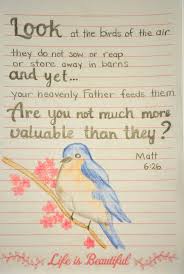 Birds Of The Air Pin On Bible Journal Pages