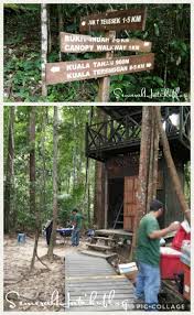 Semestinya saya mendapat percutian bajet murah ini adalah daripada page akak siti nur alifah sendiri yang kongsikan pengalamannya pergi ke taman negara pahang. Explore Taman Negara Pahang