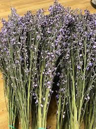 Flourish flower farm is a boutique flower farm growing specialty cut + heirloom flowers using sustainable, natural practices in the mountains of asheville, nc. Coward Wholesale Florist Llc Home Facebook