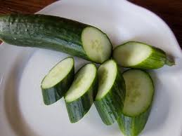 Image result for Cucumis engleri