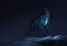 Download any/all unsplash images for free. Fantasy Wolf 4k Ultra Hd Wallpaper Hintergrund 4961x3457