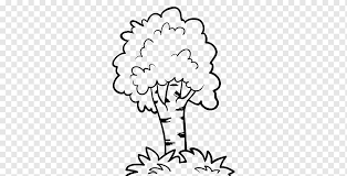 Pretty apple tree for coloring. Fruit Tree Drawing Coloring Book Forest Tree White Leaf Text Png Pngwing
