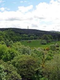 The derwent walk country park is a mixture of woodlands, meadows, wetlands. Gibside Walks