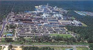 Southern edible oil industries (m) sdn. Southern Edible Oil Industries M Sdn Bhd