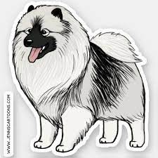 Cartoon ben jennings on boris johnson's crime plan. Cute Keeshond Cartoon Dog Drawing Keesie Vinyl Sticker Zazzle Com In 2021 Cartoon Dog Drawing Dog Drawing Dog Pop Art
