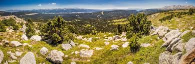 Le parc est situé à saillagouse en cerdagne et capcir dans les pyrénées orientales france, à quelques minutes des stations de ski. Pyrenees Ete Tourisme Pyrenees Orientales Vacances Montagne Pyrenees Ete