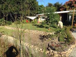 Seville St Augustine Grass Delivered And Installed In Altamonte Springs Farmfresh Outdoor Decor Outdoor Grass
