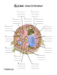 Check spelling or type a new query. Cells Alive Animal Cell Worksheet Fill Out And Sign Printable Pdf Template Signnow