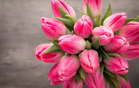 Fresh, local, unique flowers and gifts, same day flower delivery to help you celebrate all of life's occasions flowers by the bunch florist. Wallpaper Flowers Bouquet Tulips Pink White Fresh Flowers Beautiful Tulips Spring Images For Desktop Section Cvety Download