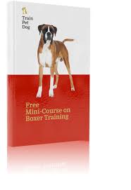 Use our unique puppy weight predictor to get weight estimates for any breed of dog. Boxer Dog Training Temperament Lifespan Trainpetdog