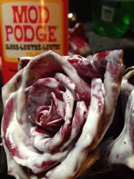 Check spelling or type a new query. Read This Want To Keep Roses Or Any Flowers Forever Cover Then In Mod Podge It Will Dry Clear So Don T Worry Mod Podge Crafts Mod Podge Mod Podge Projects