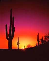 Starting at the sundial town center, set out on an adventure with a local guide. Desert Sunset By Frank Houck Desert Sunset Sunset Photography Sunset Wallpaper