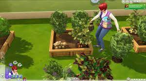 Your sim will go about planting all of the seeds, which you can then water and gain loads of experience doing so. The Sims 4 Gardening Skill Guide