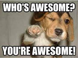 You are amazing meme funny. You Re Awesome Dog Meme Funny Inspirational Quotes Funny Motivational Quotes Motivational Memes