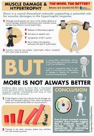 Muscle Damage Hypertrophy Muscle Hypertrophy Muscle Growth Gain Muscle