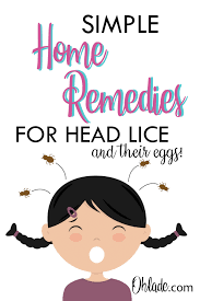 Simple Home Remedies For Lice Guaranteed To Remove Adults Eggs Ohlade Lice Remedies Head Louse Head Lice Remedy