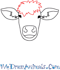 Don't forget to leave highlights in the eyes. How To Draw A Cow Face In 9 Easy Steps