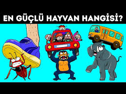 Tum Zamanlarin En Guclu Vurusa Sahip 16 Hayvani Youtube
