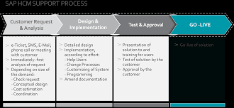 What is an it ticketing system. Hcm Support Hcm Advice
