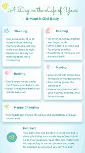 8 Month Old Baby Development Food Weight Pampers