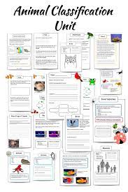Animal Classification Lesson No Prep Pack Animal Classification Animal Classification Worksheet Classification Of Vertebrates