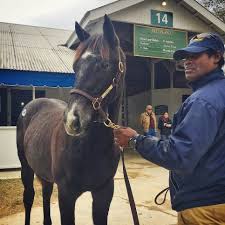 Awesome again* b 1994 thoroughbred (can) deputy minister* b 1979 thoroughbred (can) vice regent* ch 1967: Knicks Go Is Back And More The Week In Social Media The Racing Biz