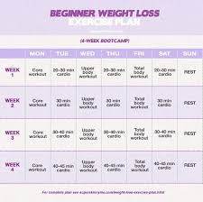 Beginner Weight Loss Exercise Plan Beginner Exercise Plan