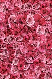 Download hd wallpapers for free on unsplash. 40 Rose Aesthetic Wallpaper For Your Iphone Prada Pearls Prada Pearls