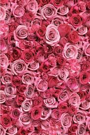 Enjoy and share your favorite beautiful hd wallpapers and background images. 40 Rose Aesthetic Wallpaper For Your Phone Prada Pearls