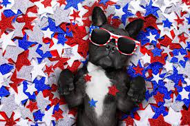 Maybe you would like to learn more about one of these? All Pets Veterinary Clinic Home Facebook