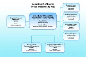 53 expert public administration organization chart