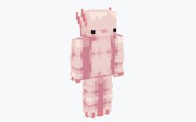 Common causes range from illness to injury to inflammation. Top 25 Coolest Skins For Minecraft All Free Undergrowth Games