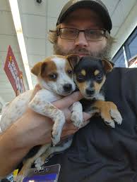 Before I got my desk and after 四 PLAY LODHER SHOP PASSES QUESTS® COMPETE  CARSER 0150 R SOURVY 0 SEASON SAVE THE WORLD cIn #TNIENIDE PENDS Curront  FODION For VOu สนวี 充2現